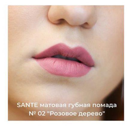 Губная помада матовая 02 &quot;Розовое дерево&quot; Sante